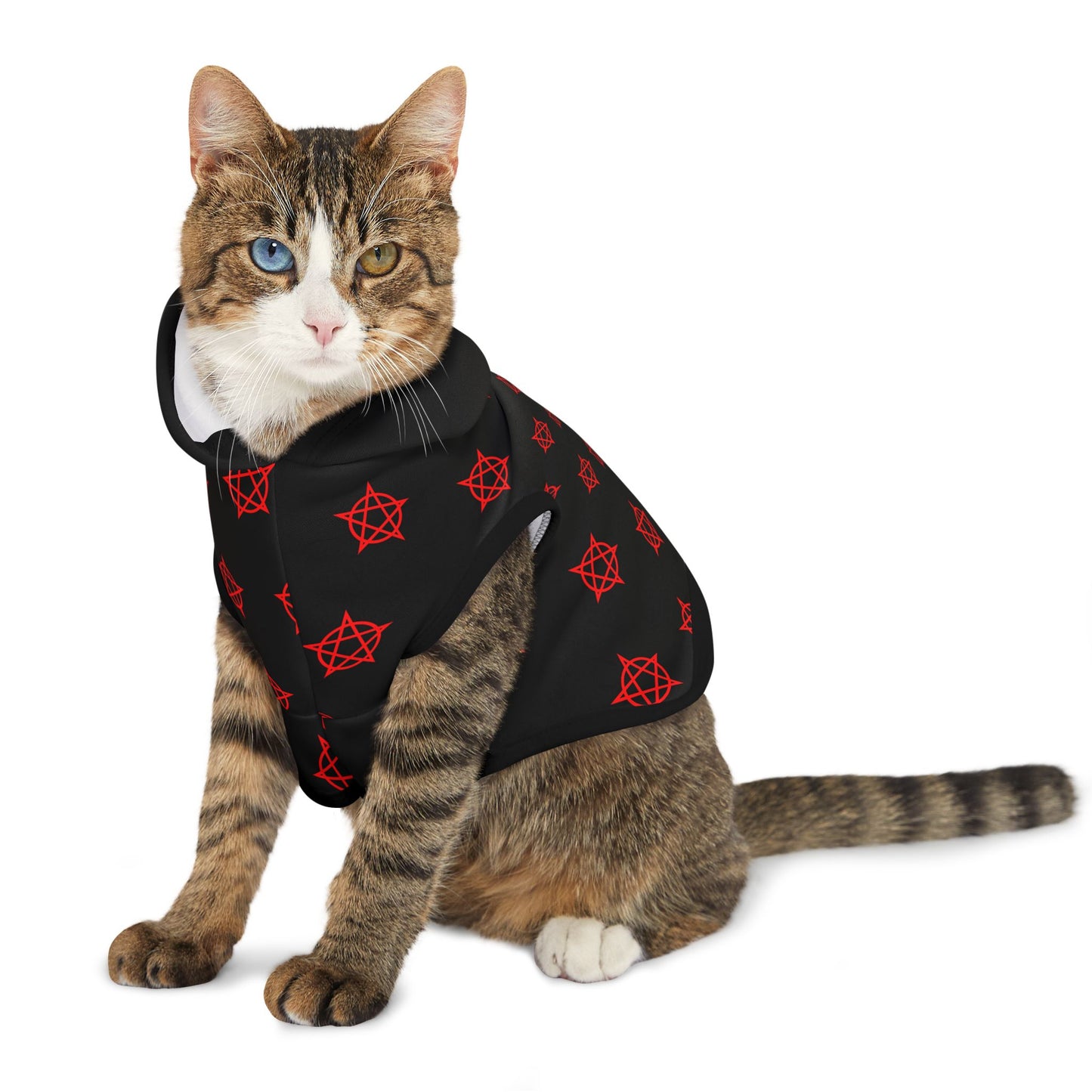 Pentagram - Pet Hoodie