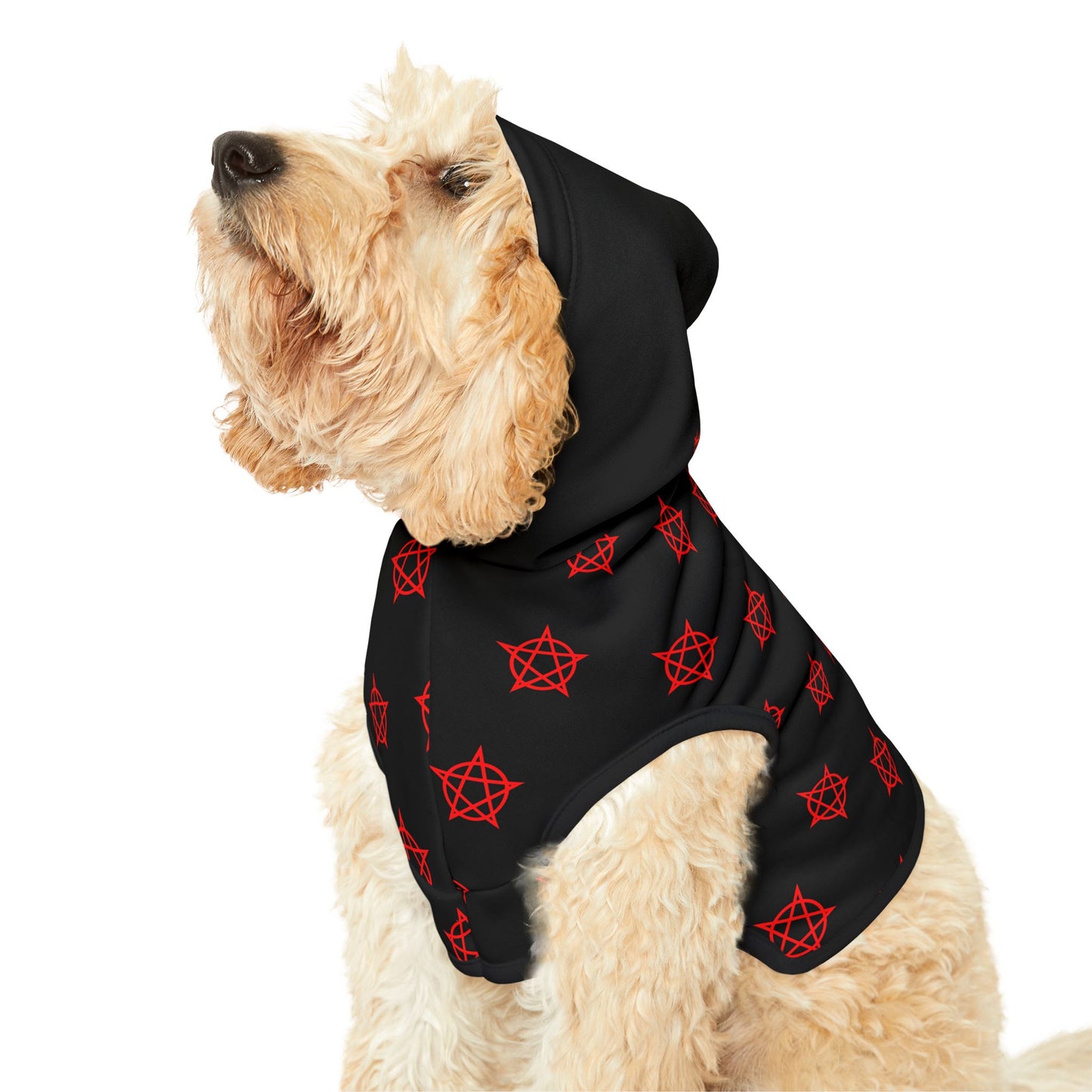 Pentagram - Pet Hoodie