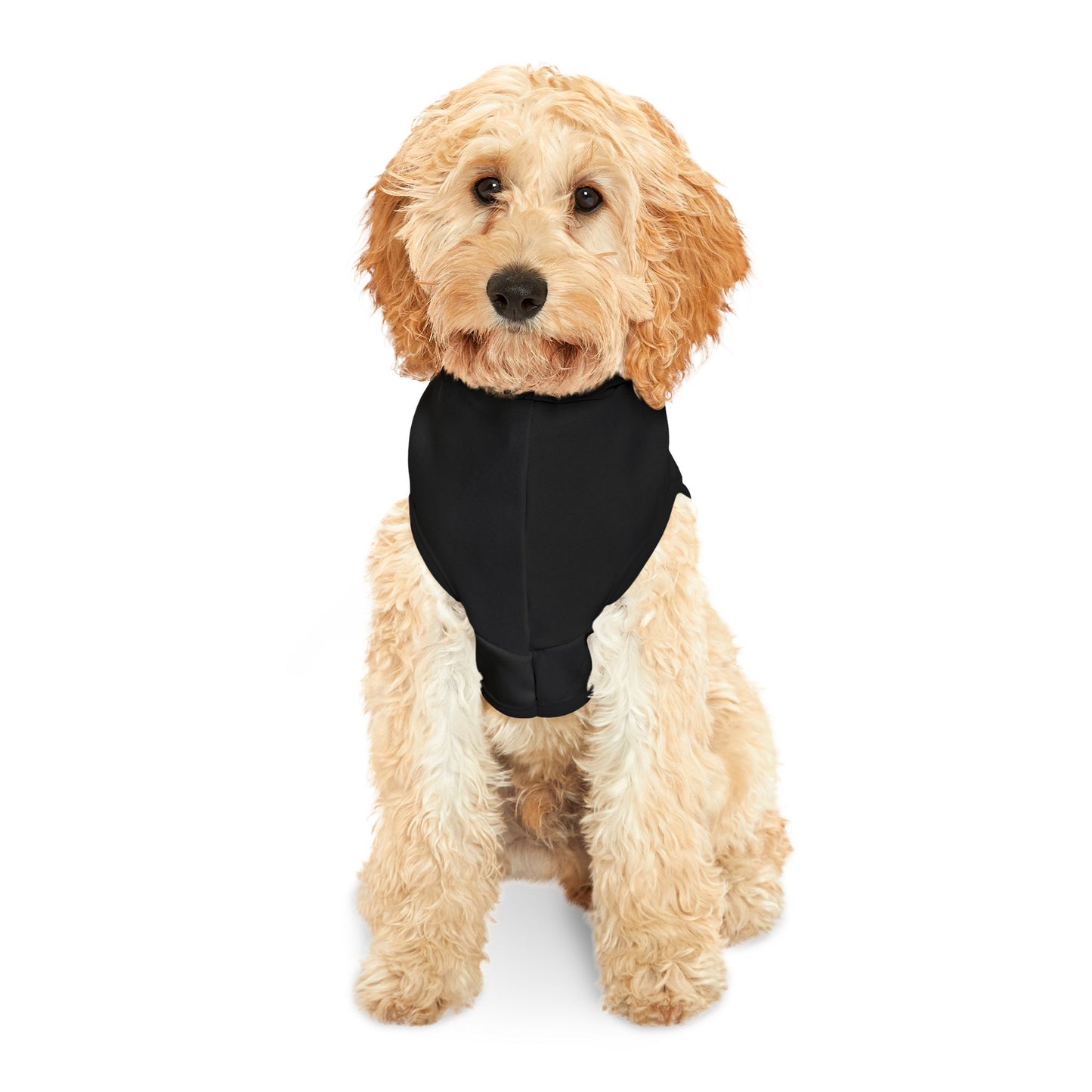 Satans Child - Pet Hoodie