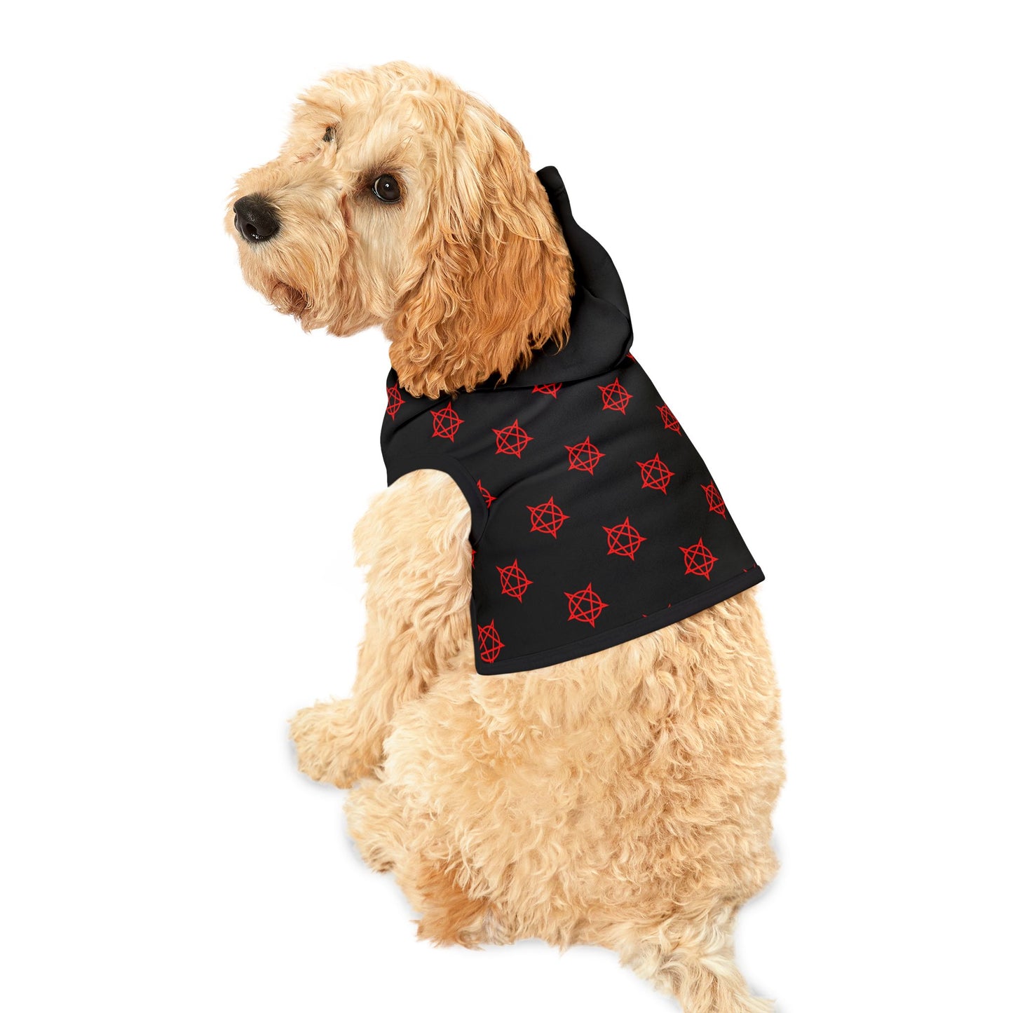 Pentagram - Pet Hoodie