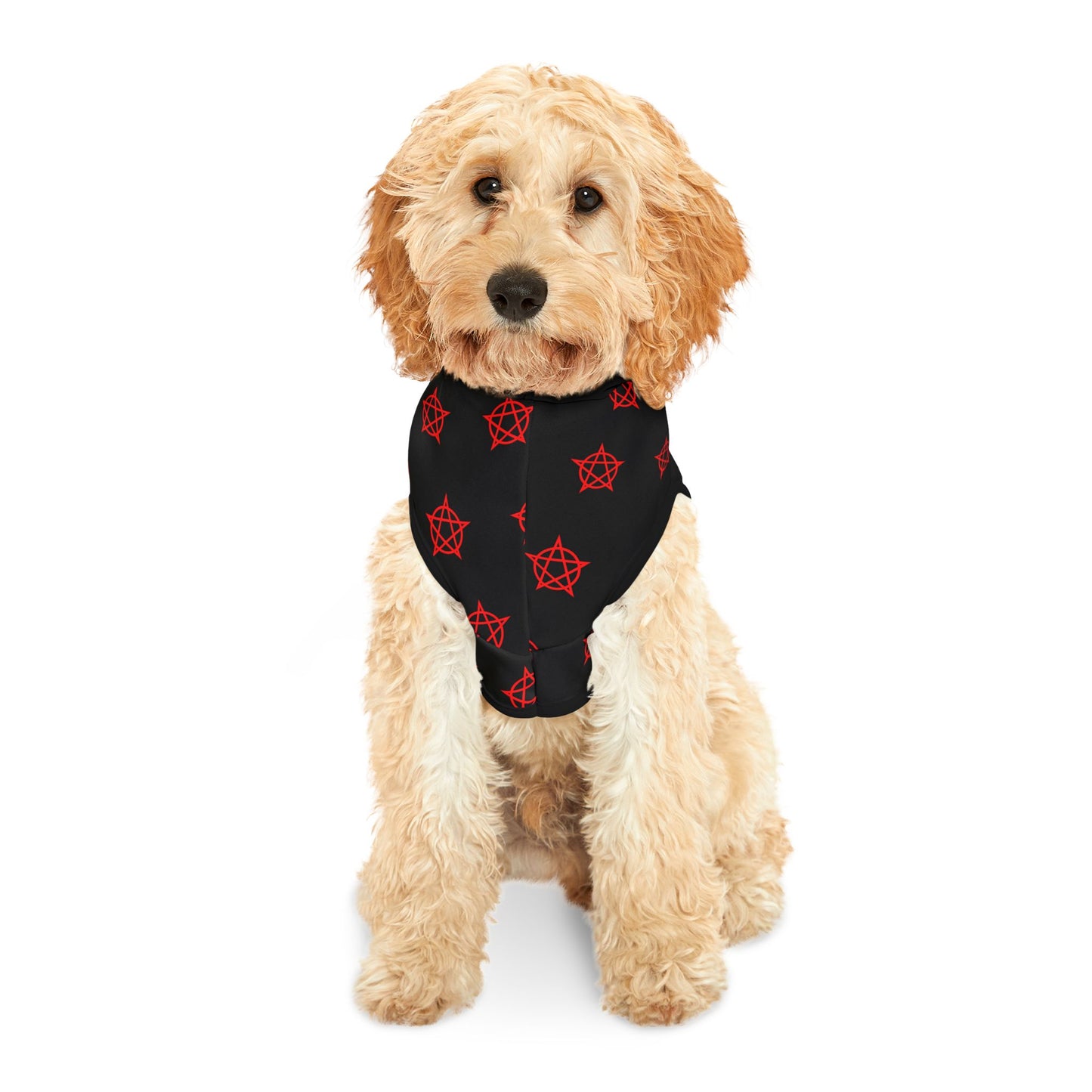 Pentagram - Pet Hoodie