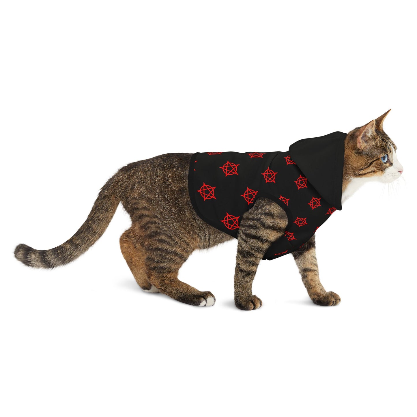 Pentagram - Pet Hoodie
